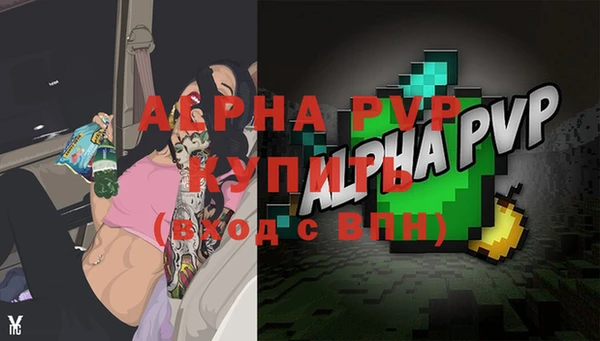 крисы Бородино
