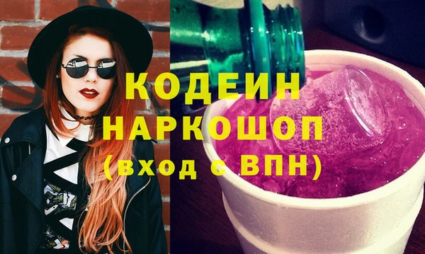 крисы Бородино