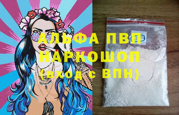 крисы Бородино