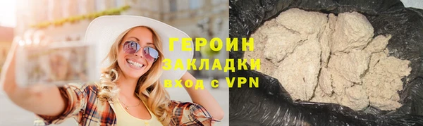 крисы Бородино