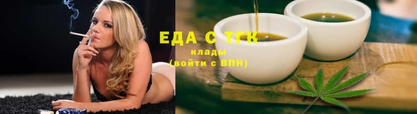 крисы Бородино