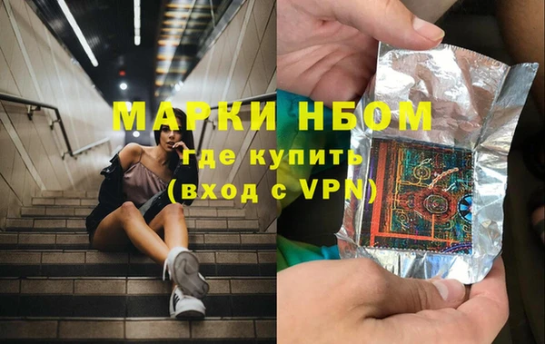 крисы Бородино