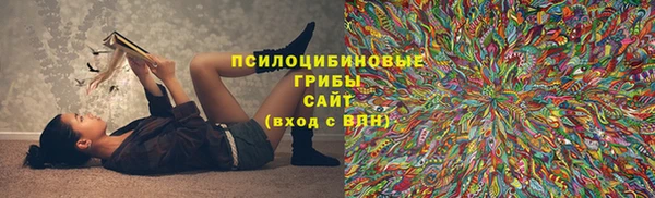 крисы Бородино