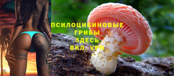 спиды Бугульма