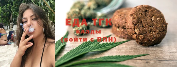 крисы Бородино