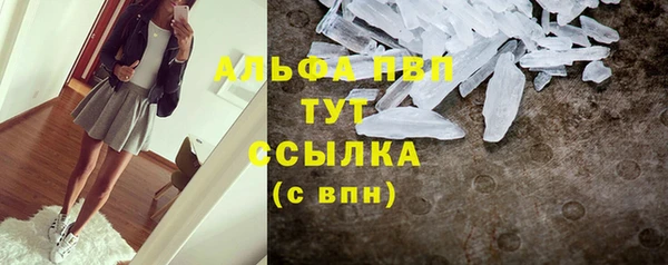 крисы Бородино