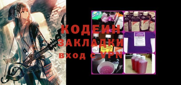 крисы Бородино