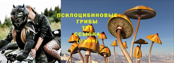 крисы Бородино