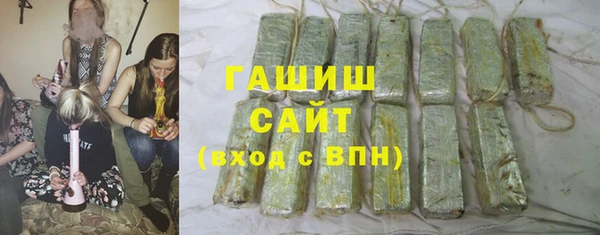 крисы Бородино