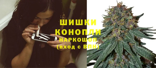 крисы Бородино