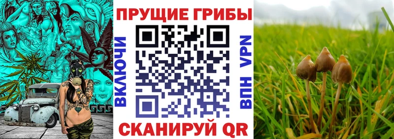 мега ссылки  Уссурийск  Галлюциногенные грибы Magic Shrooms 